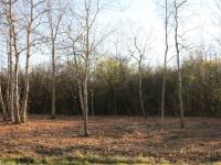 VL7 Staley Road, Grand Island, NY 14072
