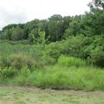 V/L Lake Road, Porter, NY 14131
