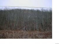 Trowbridge Road, Franklinville, NY 14737