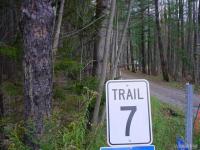Trail 7, Rushford, NY 14777