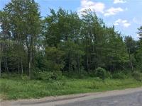 V/L Brown School House Road, Freedom, NY 14065
