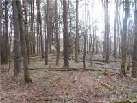 Brown Road, Conewango, NY 14726