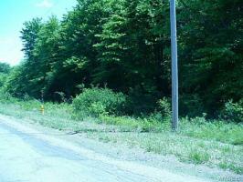 6737-6736 Heltz (lots 1 & 2) Road, Hamburg, NY 14075