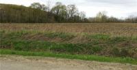 VL South Grove Road, Lyndon, NY 14737