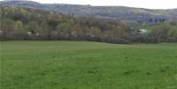 VL South Grove Road, Lyndon, NY 14737