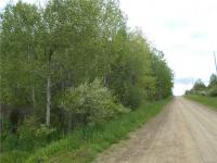 Dorvit Road North, Allen, NY 14709