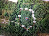 7120 Richburg Hill Road, Wirt, NY 14774