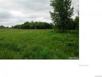 8745 Roll Road, Clarence, NY 14032