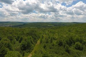 No # Bakerstand Rd -198 Acres, Franklinville, NY 14737