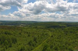 No # Bakerstand Rd- 103 Acres, Franklinville, NY 14737