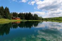 6525 Wells Road, Wirt, NY 14739