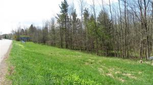 Seneca Street West, Elma, NY 14059
