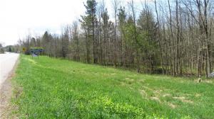 Seneca Street West, Elma, NY 14059