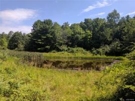 6028 Belvedere/black Road, Belfast, NY 14711