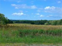 8861 Traffic Street, Otto, NY 14719