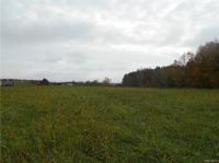11071 Marble Springs Road, Freedom, NY 14042