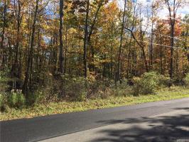 VL Lot 1 Utica Street, Evans, NY 14006