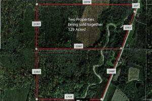 6628 County Road 17, Belfast, NY 14813