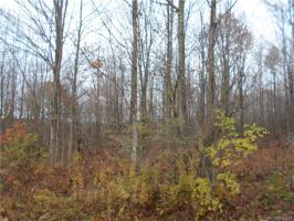 North Branch Road South, Cuba, NY 14739