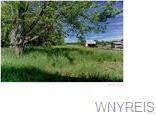 V/L Old Goodrich Road, Clarence, NY 14031