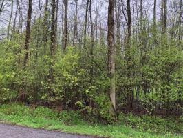VL Edgewater Avenue, Grand Island, NY 14072