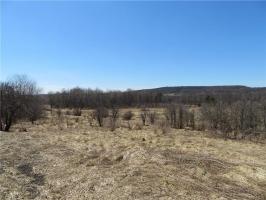 Route 242 Road, Machias, NY 14101