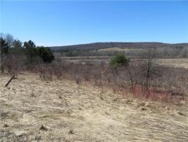 Route 242 Road, Machias, NY 14101