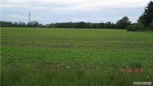 #2 Campbell Boulevard West, Cambria, NY 14094
