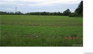#4 Lockport Road, Cambria, NY 14094
