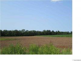 #5 Campbell Boulevard, Cambria, NY 14094