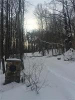 8228 Irish Road, Colden, NY 14033