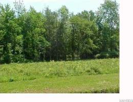 1970 Bush Road, Grand Island, NY 14072