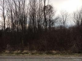 00 Dickersonville Road West, Porter, NY 14131