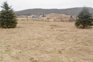 Route 98, Farmersville, NY 14737