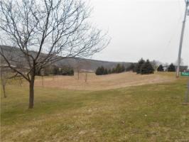 Route 98, Farmersville, NY 14737