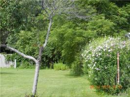 VL Mckinley Parkway West, Hamburg, NY 14219