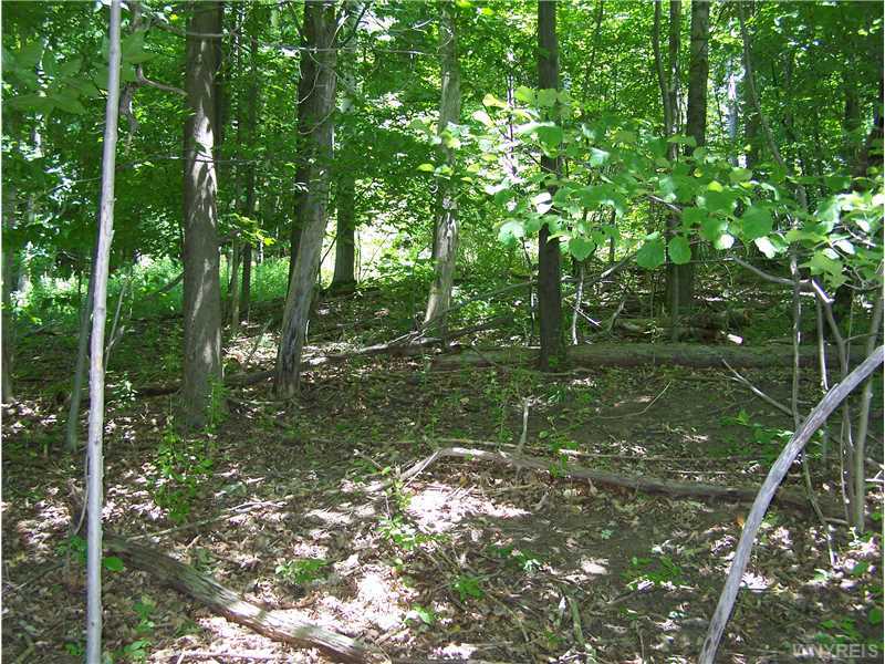 Wooded land for sale!