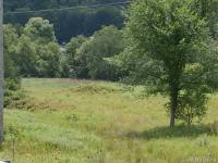 White Creek Road, Friendship, NY 14739