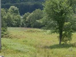 White Creek Road, Friendship, NY 14739
