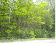 County Road 49 Lot 3, Rushford, NY 14777