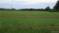 #2 Campbell Boulevard West, Cambria, NY 14094