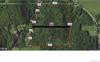 No # Youngs Rd - 53.5 Ac, Clarksville, NY 14727