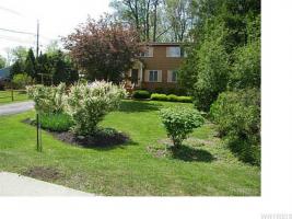 4808 Transit Road, Cheektowaga, NY 14043