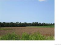 #4 Campbell Blvd., Cambria, NY 14094