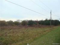 6800 Dysinger Road, Lockport Town, NY 14094