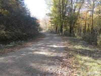 North Branch Road South, Cuba, NY 14739