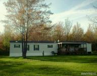 550 Ewing Road, Lyndon, NY 14727