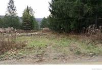 Wells Road, Wirt, NY 14739
