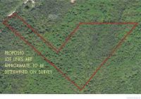 Trowbridge Road, Franklinville, NY 14737