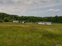 9182 Older Hill Road, Farmersville, NY 14737